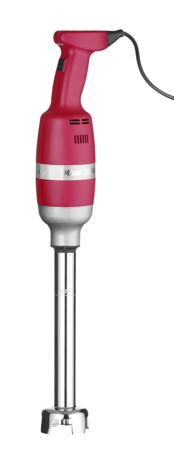 Rankinis maišytuvas Profi Line 300 su greičio reguliavimu, HENDI, Profi Line, 230V/300W, ⌀100x(H)675mm