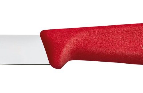 Daržovių peilis lygus, Victorinox, Raudona, (L)190mm