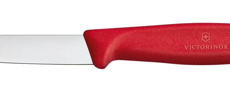 Daržovių peilis lygus, Victorinox, Raudona, (L)190mm