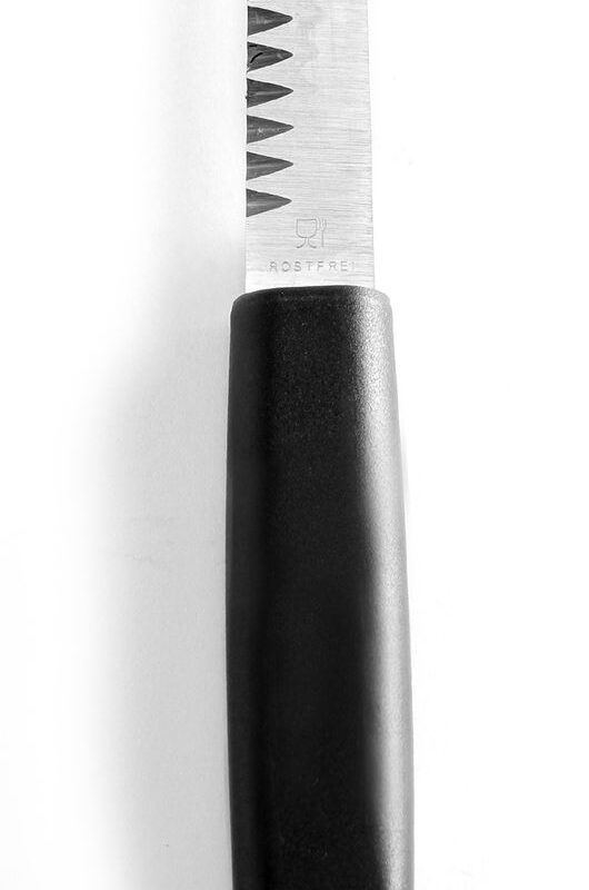 Dekoratyvinio pjaustymo peilis, HENDI, (L)200mm
