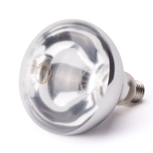 Infraraudonųjų spindulių lempa patiekalams šildyti, HENDI, Balta, 230V/250W, ⌀125x(H)170mm