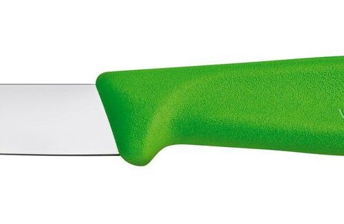Daržovių peilis lygus, Victorinox, Žalia, (L)190mm
