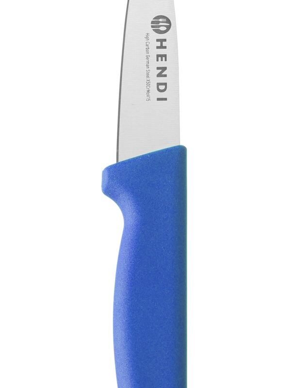 Peilis daržovėms, 100 mm, HACCP, HENDI, Profi Line, Mėlynas, (L)204mm